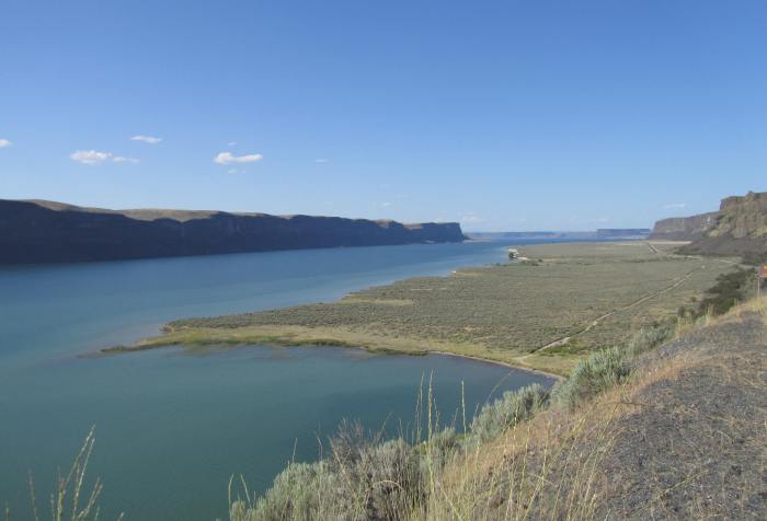 Banks Lank in the Grand Coulee