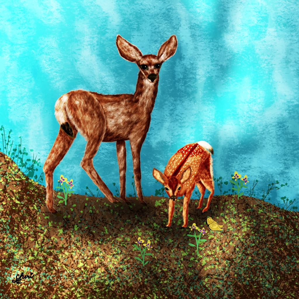 illustration of mule doe and fawn