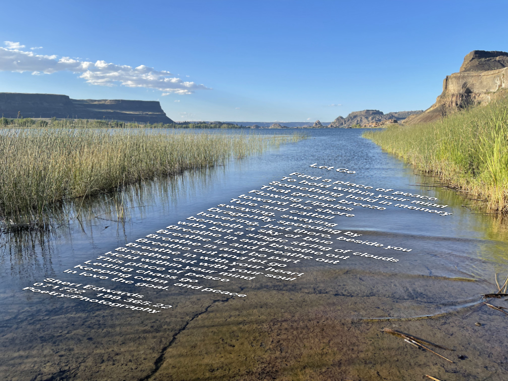 cattail lined waterway with gentle ripples within a basalt coulee at Steamboat Rock State Park in Washington State.