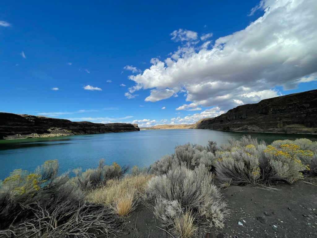 I think this is Jameson Lake in Moses Coulee, WA State.